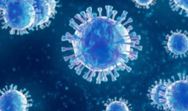 Coronavirus Website